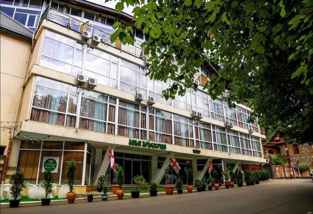Guest House 博尔若米 外观 照片